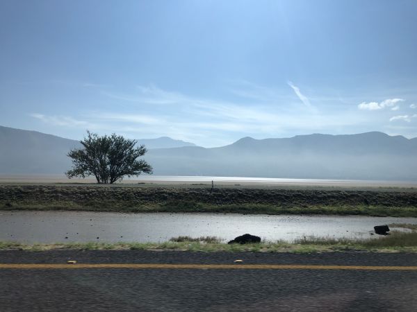 foto:Julián Hazael  Martinez Hernández  - lo hecho en México