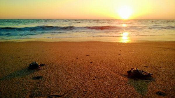 foto:Vicente Manolo Vivó Reza - lo hecho en México