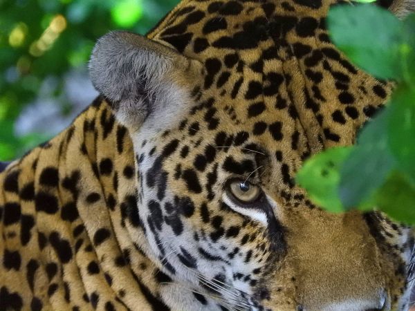 foto:Diana Laura  Bravo  Contreras - lo hecho en México