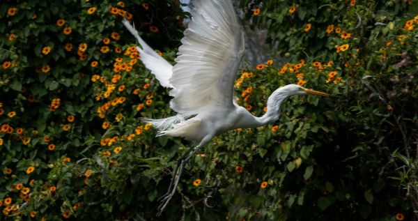 foto:Arturo Gómez Romero - lo hecho en México