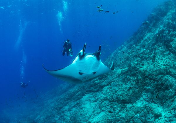 foto:Alexander Double Sokser - lo hecho en México