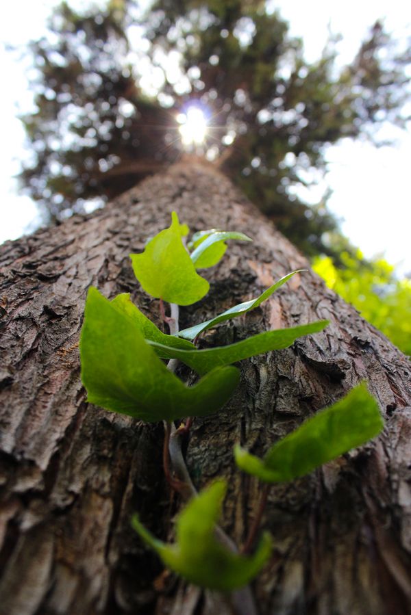 foto:Jose Alfredo Valdez Piña - lo hecho en México