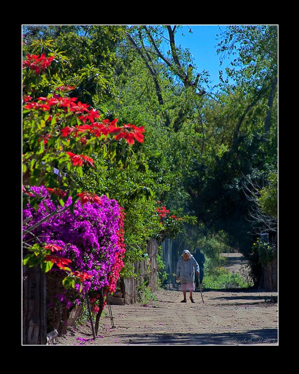 foto:MARIA ELIZABETH RODRIGUEZ COTA - lo hecho en México