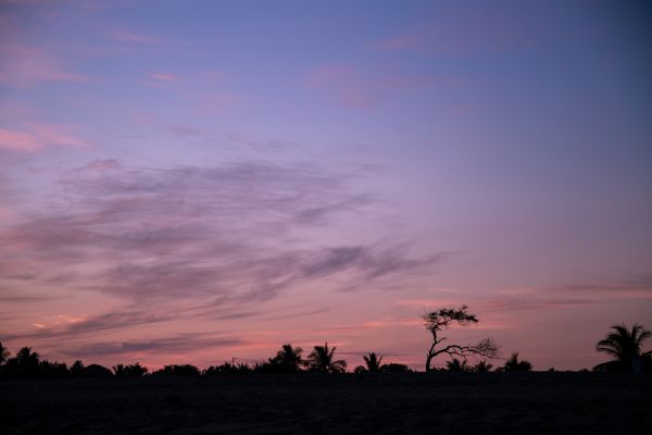 foto:RODRIGO OROZCO DIAZ - lo hecho en México