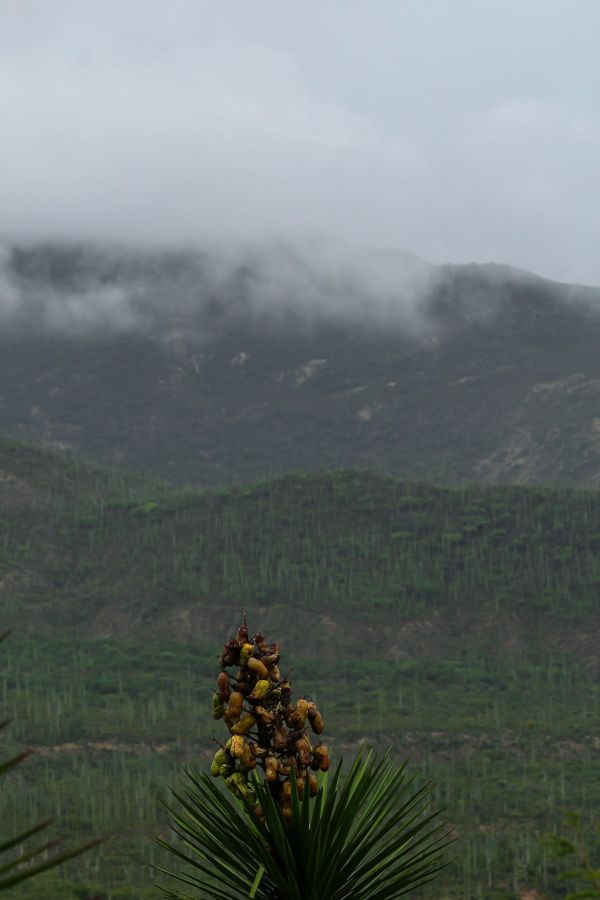 foto:Iván Jared  Rendon  Ramírez  - lo hecho en México