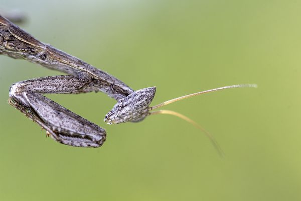 foto:Enrique Fer Carrillo - lo hecho en México