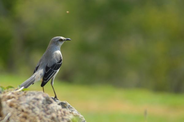 foto:Rodrigo Vazquez Celis - lo hecho en México