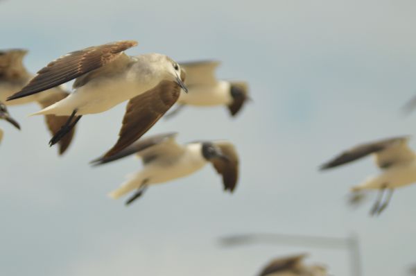 foto:Rodrigo Vazquez Celis - lo hecho en México
