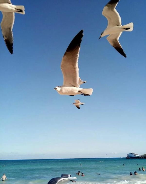 foto:Osvaldo Antony Sánchez Aparicio - lo hecho en México