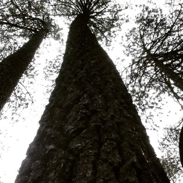 foto:Francisco Jair Alarcon Castañeda - lo hecho en México