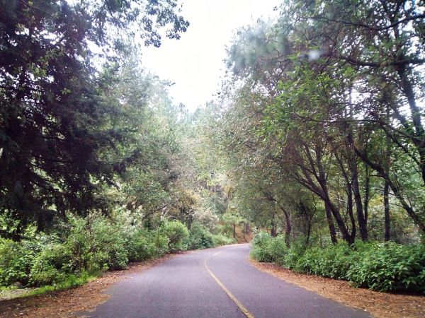 foto:JAQUELINE LOPEZ MARTINEZ - lo hecho en México