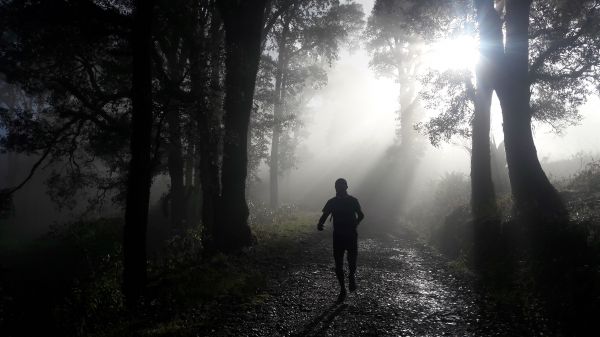 foto:José Ávila Acosta - lo hecho en México