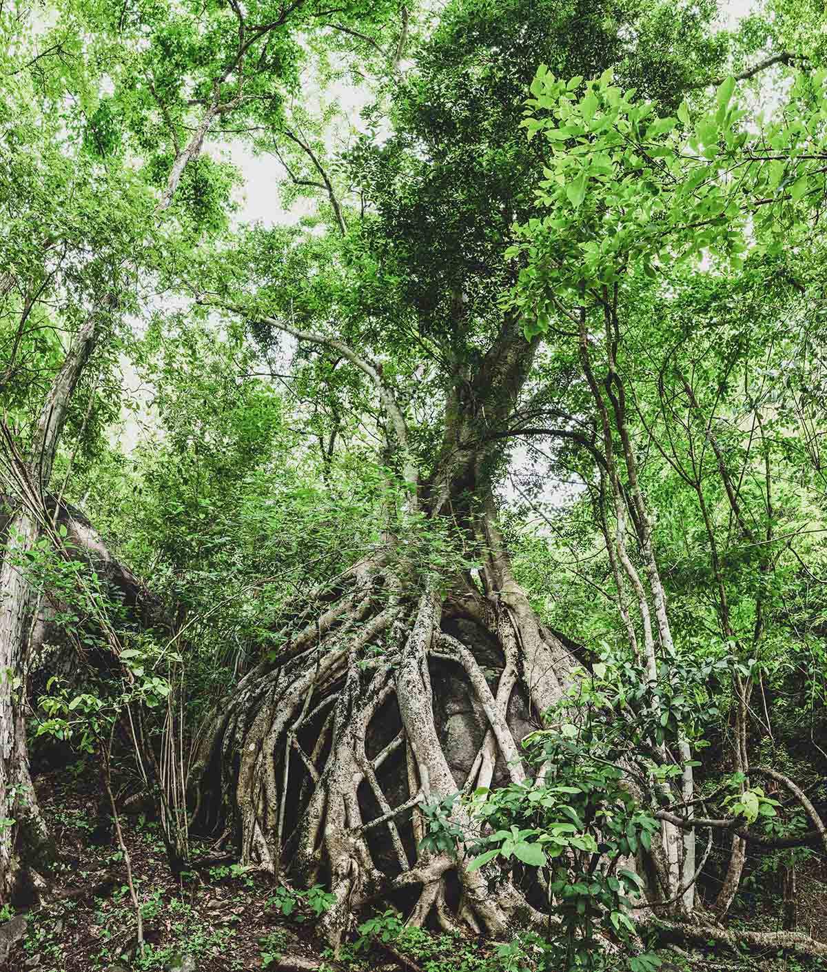 foto:JOSE ALFREDO DIAZ TORRES - lo hecho en México