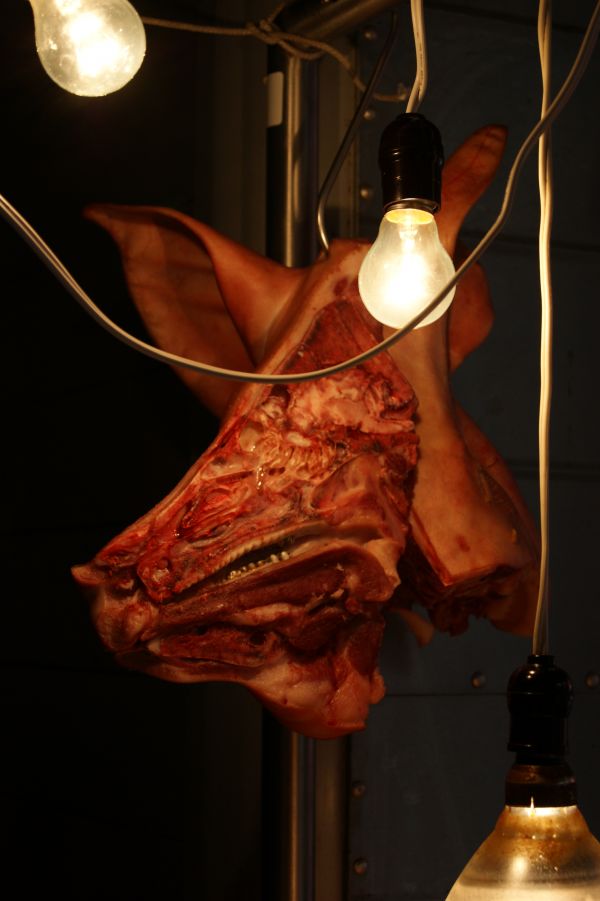 foto:Nancy Reyes Cedillo - lo hecho en México