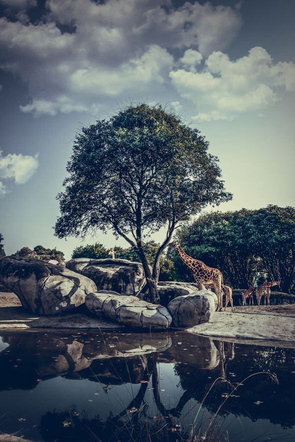 foto:carlos chaparro carrillo - lo hecho en México