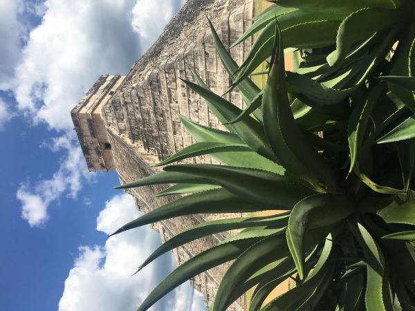 foto:Alonso Tovar Alanis - lo hecho en México