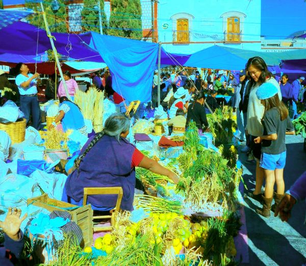 foto:OMAR VÁZQUEZ AVENDAÑO - lo hecho en México