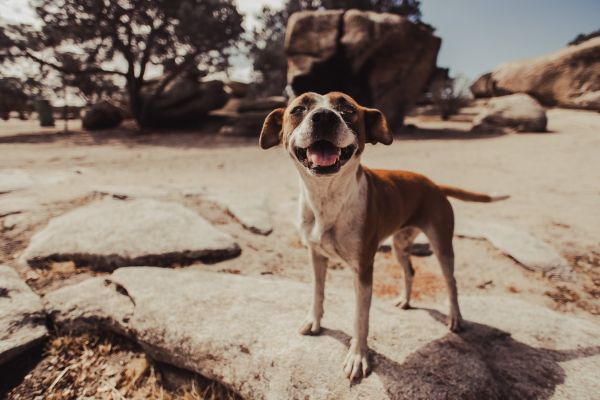 foto:Ana Cardenas Ramirez - lo hecho en México