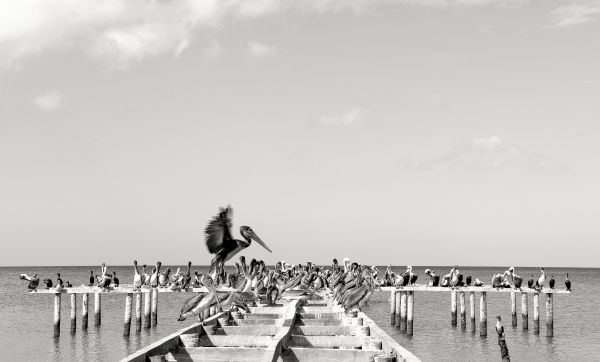 foto:Ana Margarita Pérez Marrón - lo hecho en México