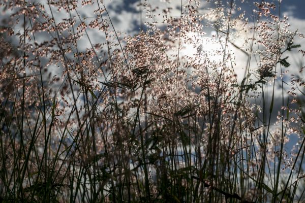 foto:Rubén Darío Córdova Solares - lo hecho en México