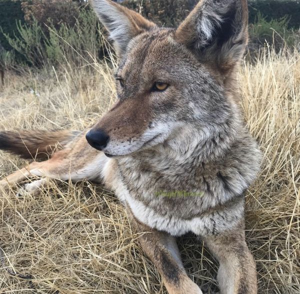 foto:Susana García Rodríguez - lo hecho en México