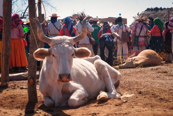 foto:David Tadeo Avalos Ceniceros - lo hecho en México