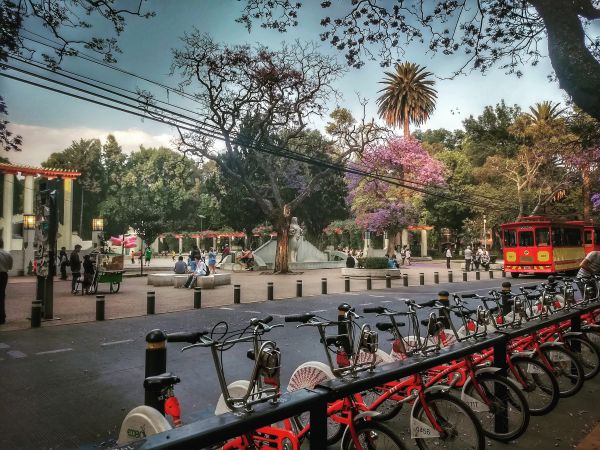 foto:Cesar Abraham Mendieta Lugo - lo hecho en México