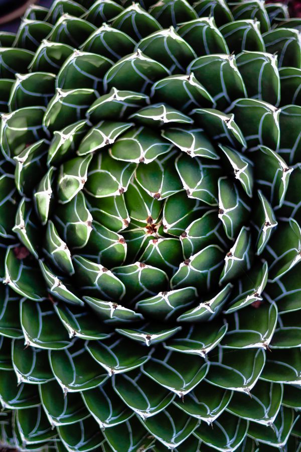 foto:Luis Daniel García Fuentes - lo hecho en México