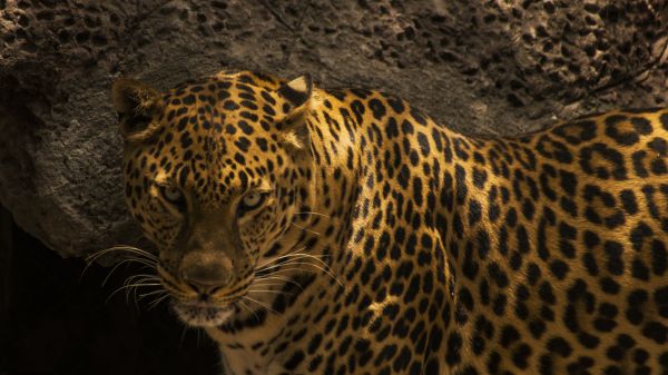 foto:José Jaime García Escárpita - lo hecho en México