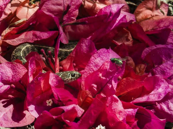 foto:Diego  González Salazar - lo hecho en México