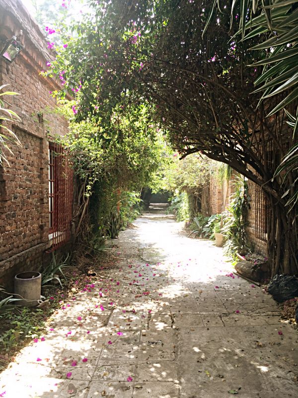 foto:Juan Carlos  Villarreal Senosiain - lo hecho en México