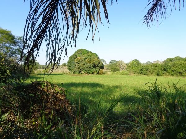 foto:Roberto Gonzalez Reyes - lo hecho en México