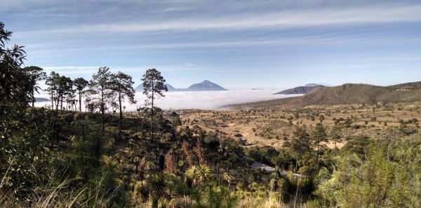 foto:ANA KAREN VÉLEZ PÉREZ - lo hecho en México