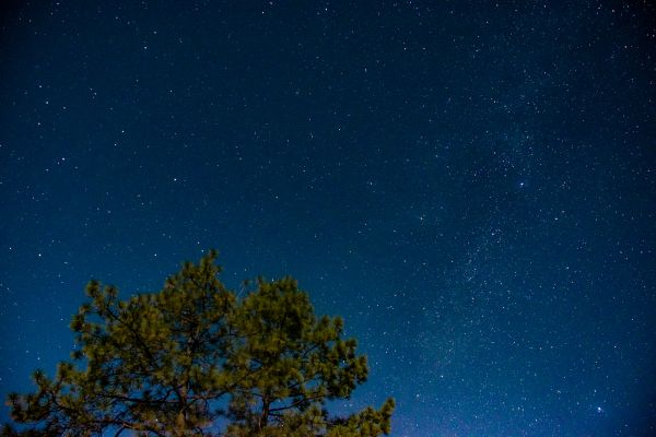 foto:Diego Esteban Botello Zavala - lo hecho en México