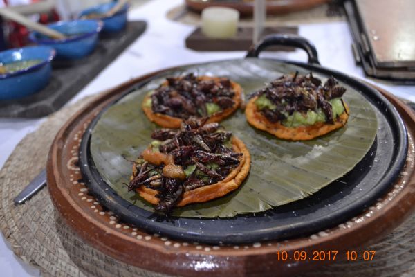 foto:juan tadeo tellez  aguilar - lo hecho en México