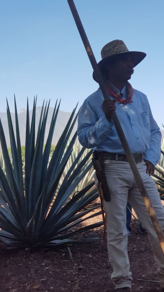 foto:Luis Arturo  Juárez  Ramírez  - lo hecho en México