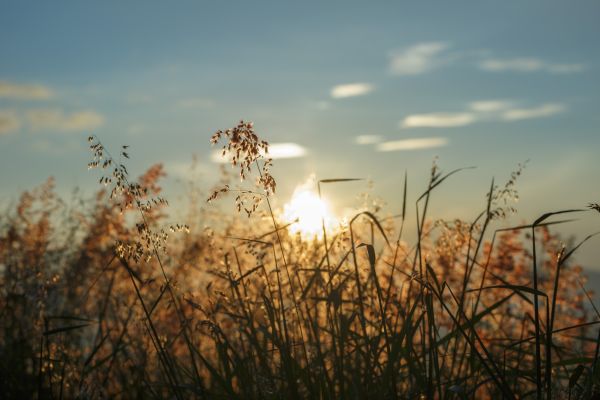 foto:Pablo Haro Orozco - lo hecho en México