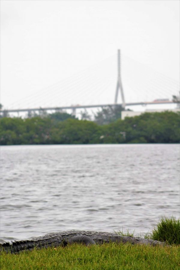 foto:Julio Serrano Alvarado - lo hecho en México