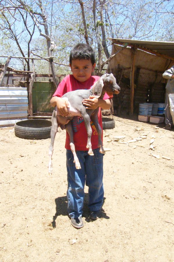 foto:AYRTON MARTIN HERNANDEZ ERIZA - lo hecho en México