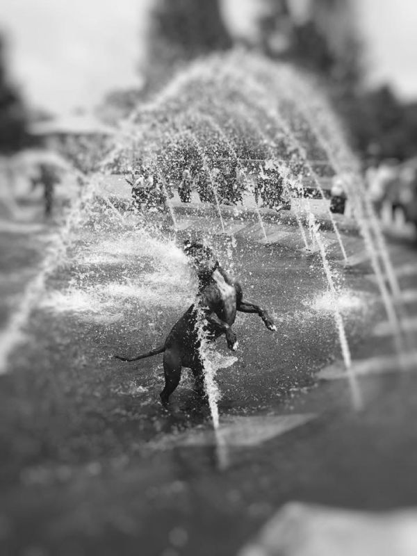 foto:Atzin Andrea Angeles Romero - lo hecho en México