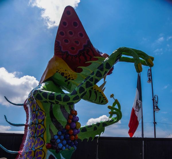 foto:JORGE VELASCO CASTRO - lo hecho en México