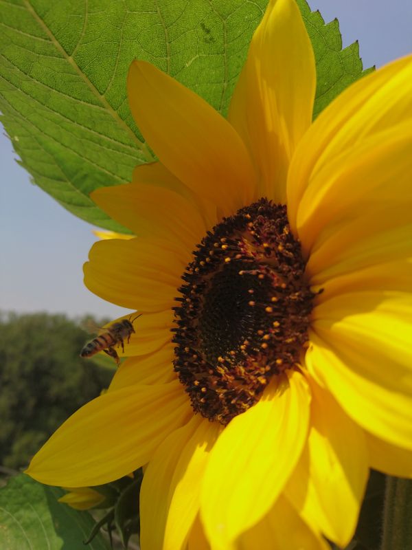 foto:Alejandro Pérez Ayala - lo hecho en México