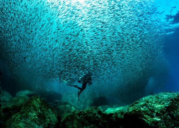 foto:Alexander Double Sokser - lo hecho en México