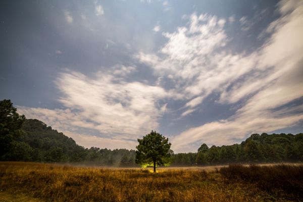 foto:Nicolás Covarrubias De la Peña - lo hecho en México