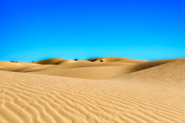 foto:Jonathan Chabre Montiel - lo hecho en México