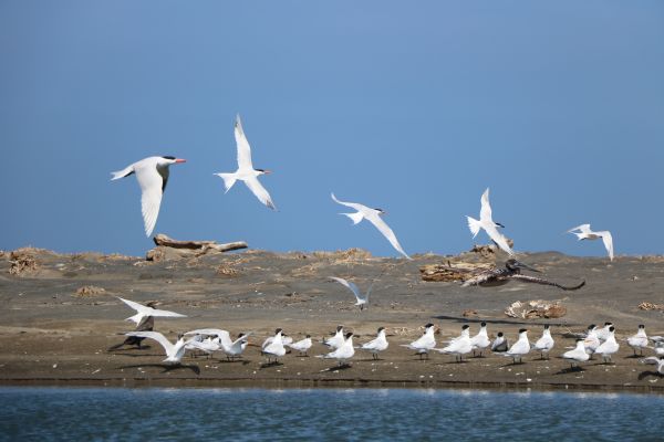 foto:Enrique Carbajal Montes - lo hecho en México
