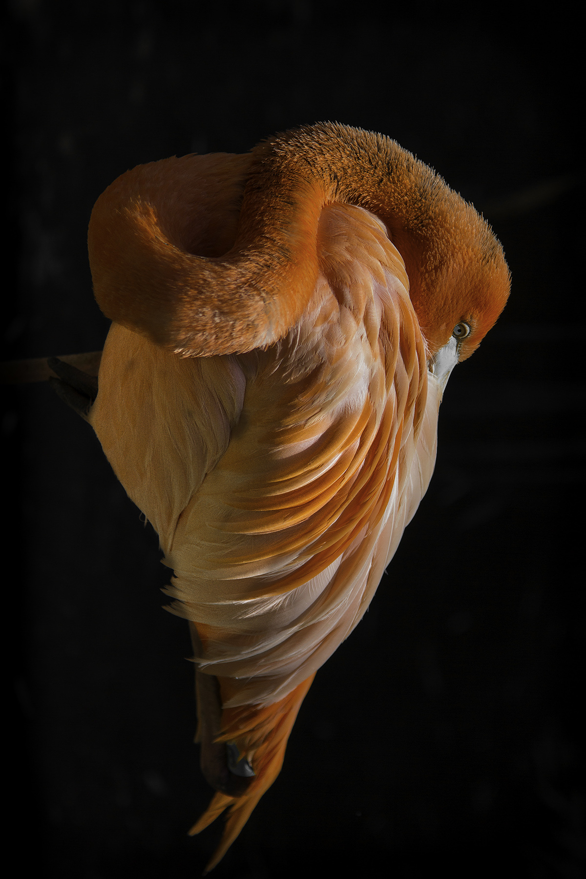 foto:Francisco Javier Escobar García - lo hecho en México