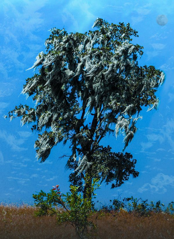 foto:MAURO ANTONIO LOPEZ - lo hecho en México