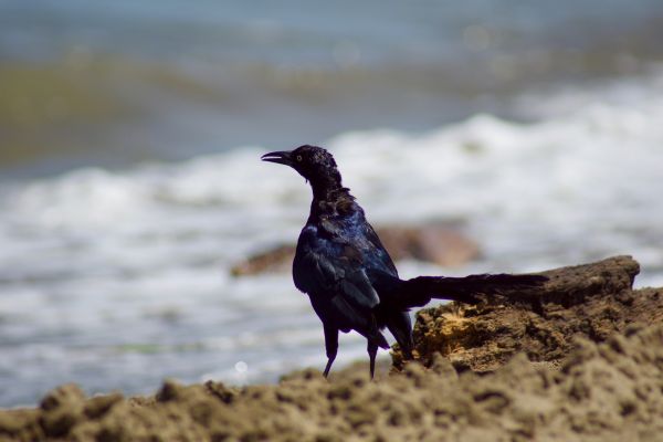 foto:Vicente Marcelo Rosales - lo hecho en México