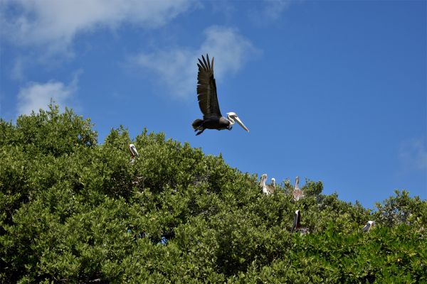 foto:Nancy Jacqueline Garrido  Castillo - lo hecho en México